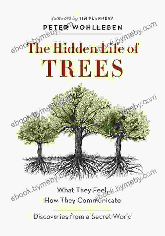 A Book Whispering Secrets To A Young Boy, Symbolizing The Enchanting World Hidden Within The Pages. The Secret Life Of Books: Why They Mean More Than Words