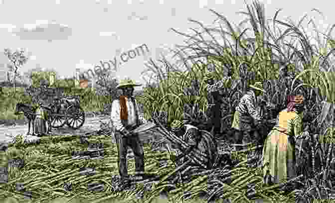 A Depiction Of A Cotton Plantation In The American South, With Slaves Working In The Fields And Suffering From Various Diseases Necropolis: Disease Power And Capitalism In The Cotton Kingdom