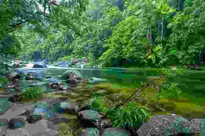 A Panoramic View Of A Rainforest With A Winding River Dominican Republic Travel Guide With 100 Landscape Photos