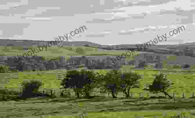 A Panoramic View Of The Rolling Hills And Lush Greenery Along The El Camino De Santiago Pilgrimage Route The Journey In Between: Thru Hiking El Camino De Santiago (Thru Hiking Adventures 1)