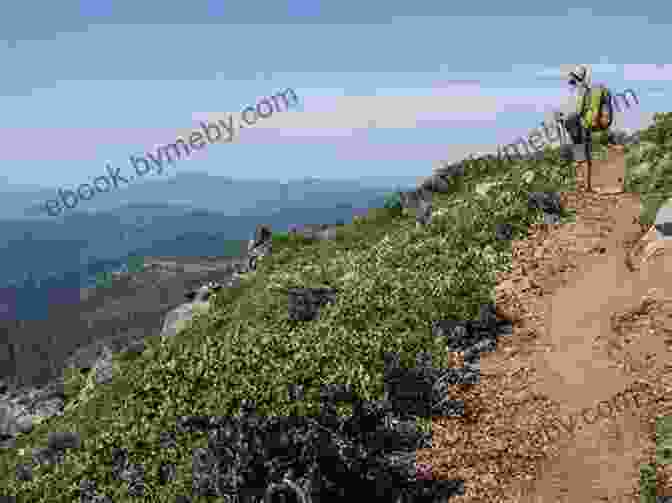 A Thru Hiker Backpacks On The Pacific Crest Trail, With Mountains In The Background The Last Englishman: Thru Hiking The Pacific Crest Trail (Thru Hiking Adventures 2)