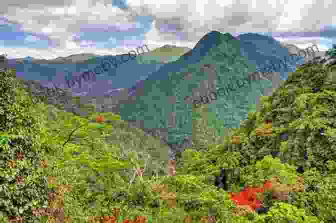 A Vibrant Panorama Of El Yunque Rainforest, Showcasing Its Verdant Foliage, Cascading Waterfalls, And Abundant Wildlife Frommer S EasyGuide To Puerto Rico (Easy Guides)