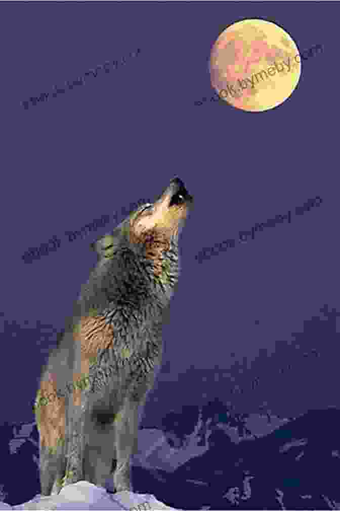 A Wolf Howling At The Moon, Symbolizing The Influence Of Wolves On Human Language And Storytelling A Dog In The Cave: The Wolves Who Made Us Human