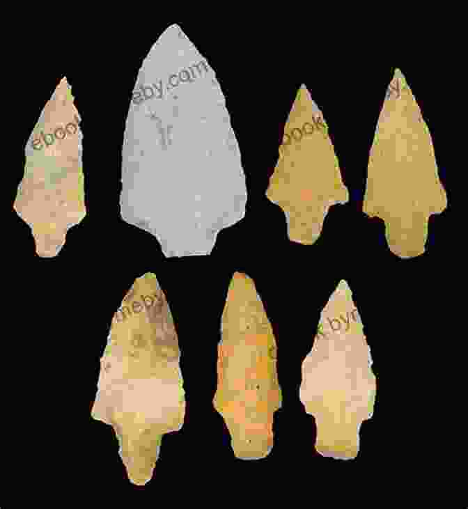 An Image Demonstrating Proper Storage Techniques For Projectile Points A Projectile Point Guide For The Upper Mississippi River Valley (Bur Oak Guide 1)