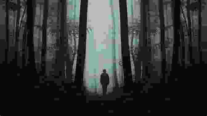 [Book Cover Image With A Mysterious Forest Setting And A Figure Walking Down A Dimly Lit Path] Off The Well Lit Path M S Holm