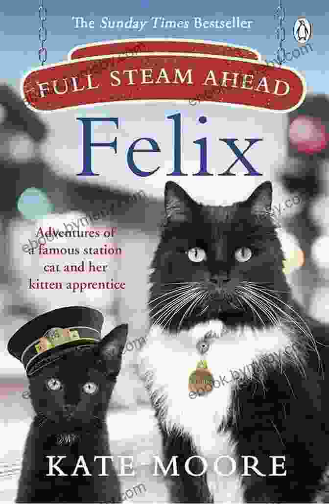 Cover Art Of The Book Adventures Of Famous Station Cat And Her Kitten Apprentice, Featuring A Drawing Of A Cat And A Kitten Sitting Together On A Train Station Platform. Full Steam Ahead Felix: Adventures Of A Famous Station Cat And Her Kitten Apprentice