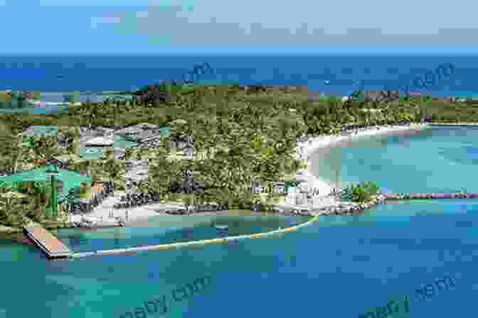 Cruiseportinsider Guide To Roatan 2024 By Thomas Booth CruisePortInsider Guide To Roatan 2024 Thomas Booth