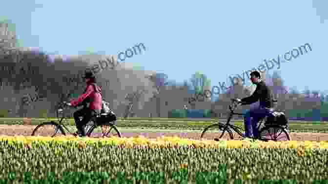 Cyclist Enjoying A Serene Ride Through The Dutch Countryside The Rough Guide To The Netherlands (Travel Guide EBook)