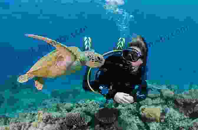 Divers Exploring Coral Reefs Of The Great Barrier Reef Backpacking Australia Rah Rah And Roos: Farming Flying Diving And Drilling Australia