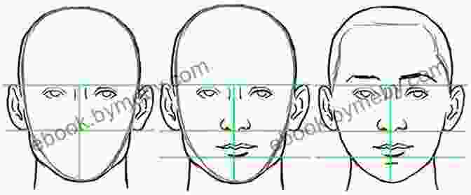 Drawing Basic Face Shapes How To Draw: Faces: In Simple Steps