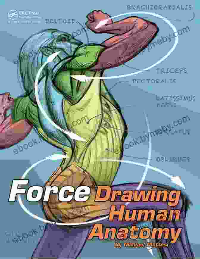 Force Drawing Human Anatomy Book Cover FORCE: Drawing Human Anatomy (Force Drawing Series)