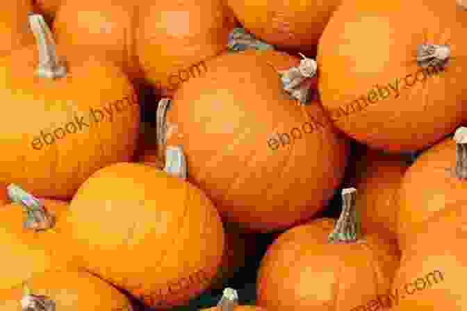 Image Of A Pumpkin I Spy Thanksgiving For Kids Ages 2 5: Celebrate Thanksgiving A Fun Learning Activity Picture And Guessing Game For Kids Ages 2 5 Toddler Preschool Kindergarteners