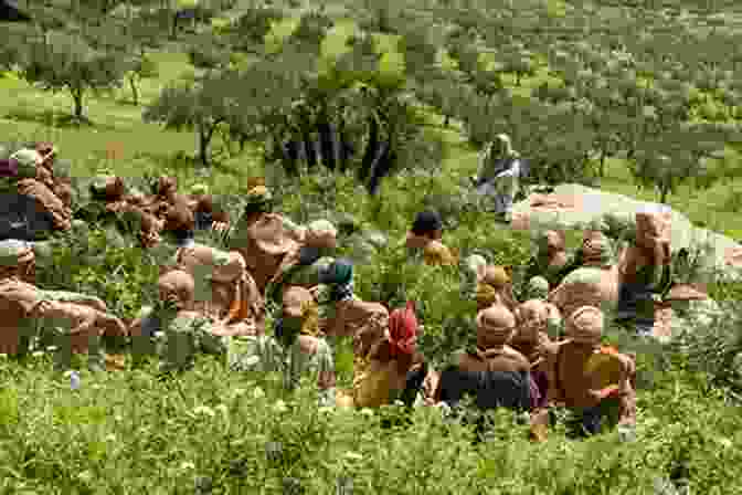 Mount Of Olives Following Jesus In The Holy Land: Pathways Of Discipleship Through Advent And Lent