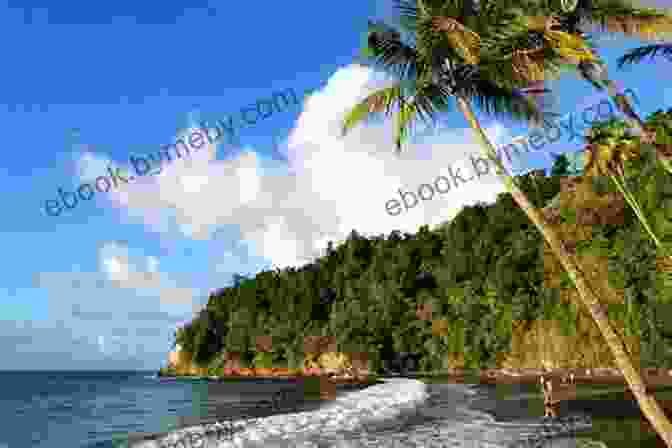 Panoramic View Of The Stunning Anse Couleuvre Beach In Martinique The Island Hopping Digital Guide To The Windward Islands Part I Martinique