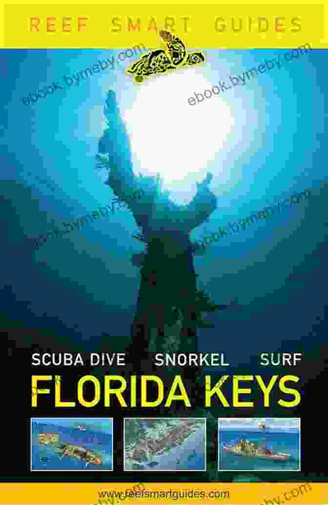 Reef Smart Guides Florida Book Cover Image Reef Smart Guides Florida: Fort Lauderdale Pompano Beach And Deerfield Beach: Scuba Dive Snorkel Surf (Best Diving Spots In Florida)