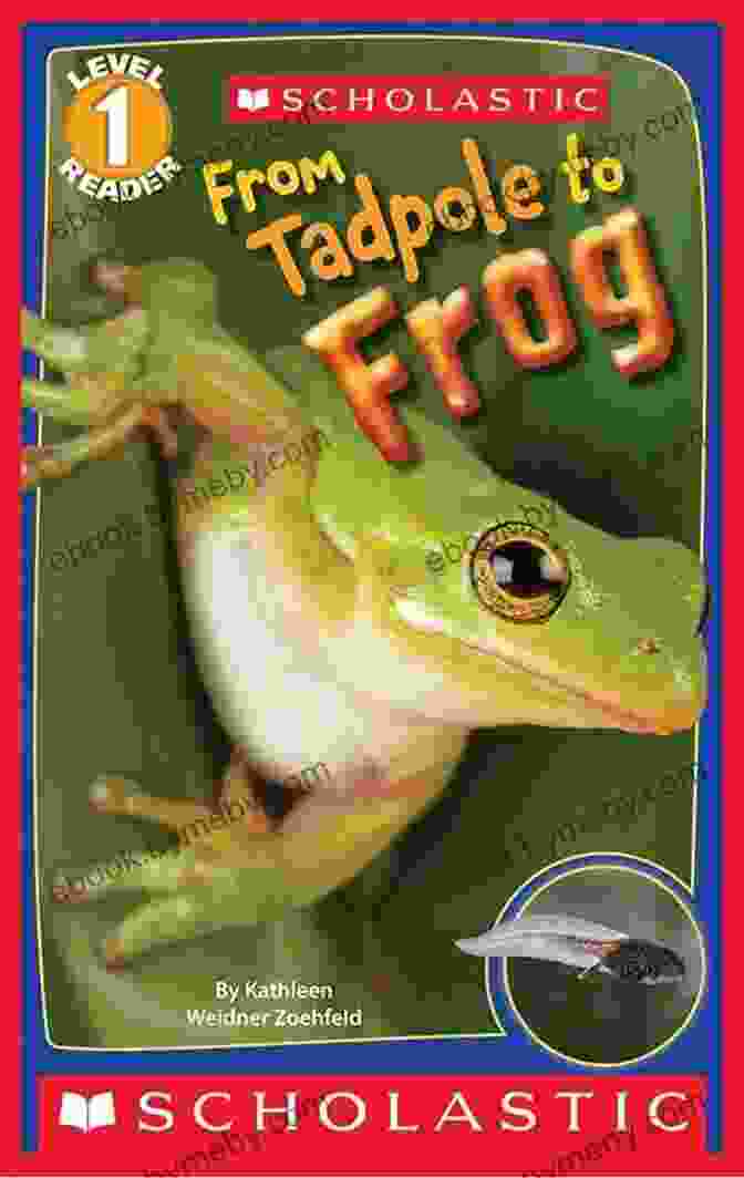 Scholastic Reader Level From Tadpole To Frog Book Cover Featuring A Tadpole And A Frog Scholastic Reader Level 1: From Tadpole To Frog