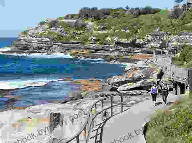 The Bondi To Manly Walk Offers Stunning Coastal Views Of Sydney The Bondi To Manly Walk: The Definitive Guidebook