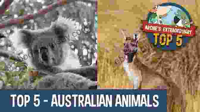 Unlock The Secrets Of Australia's Extraordinary Wildlife Dingo Facts: Easy Learning For Kids (Amazing Australian Animals 3)