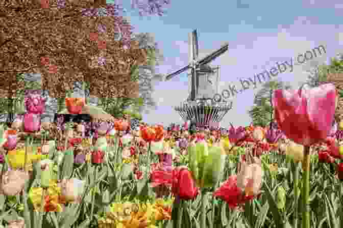 Vibrant Tulip Fields And Colorful Displays At Keukenhof Gardens The Rough Guide To The Netherlands (Travel Guide EBook)