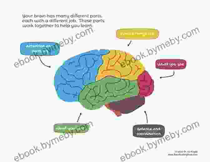 Visuals Engage The Brain And Enhance Learning Sketchnoting In School: Discover The Benefits (and Fun) Of Visual Note Taking