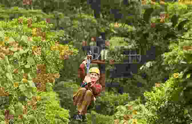 Zip Lining Through The Rainforest Canopy, Panama The Rough Guide To Central America On A Budget (Travel Guide EBook)