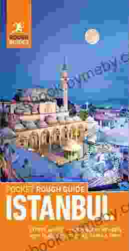 Pocket Rough Guide Istanbul (Travel Guide EBook): (Travel Guide With Free EBook) (Rough Guides Pocket)