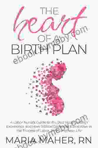 The Heart Of A Birth Plan: A Labor Nurse S Guide To The Best Hospital Birth Experience And How Biblical Concepts Come Alive In The Process Of Labor Birth And New Life