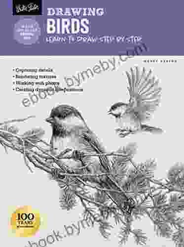 Drawing: Birds: Learn to draw step by step (How to Draw Paint)