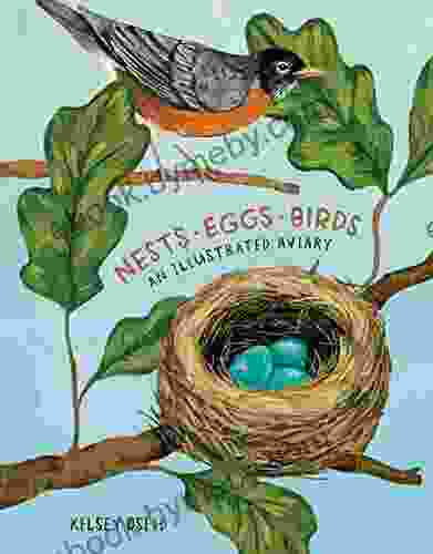 Nests Eggs Birds: An Illustrated Aviary