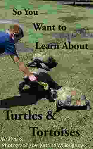 So You Want to Learn About Turtles Tortoises