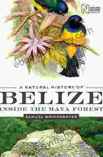 A Natural History Of Belize: Inside The Maya Forest (Corrie Herring Hooks 52)