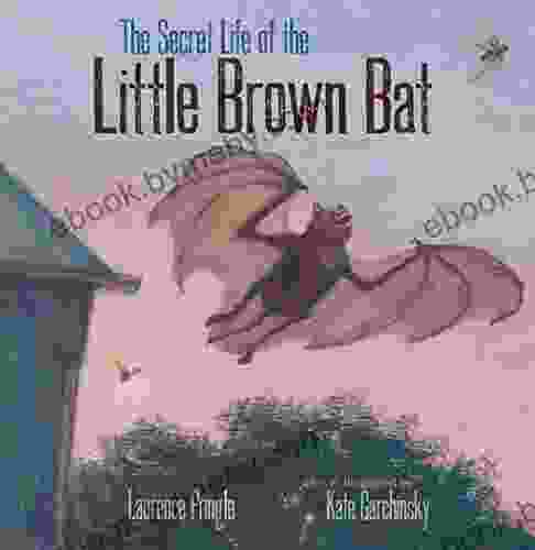 The Secret Life Of The Little Brown Bat